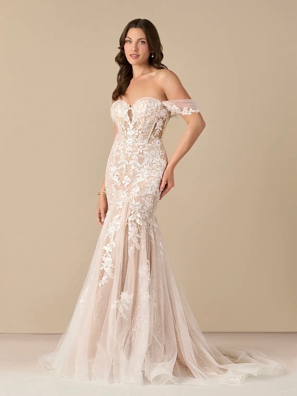 Off-Shoulder Lace Mermaid Gown